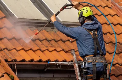 Démoussage et hydrofuge de toiture à Guitinières